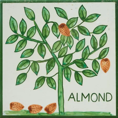 Apartman Cristo - Almond *